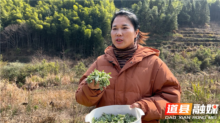 道县：舌尖上的春味—艾子粑粑03_副本.jpg