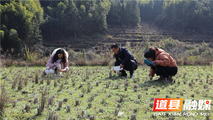 道县：舌尖上的春味—艾子粑粑02_副本.jpg