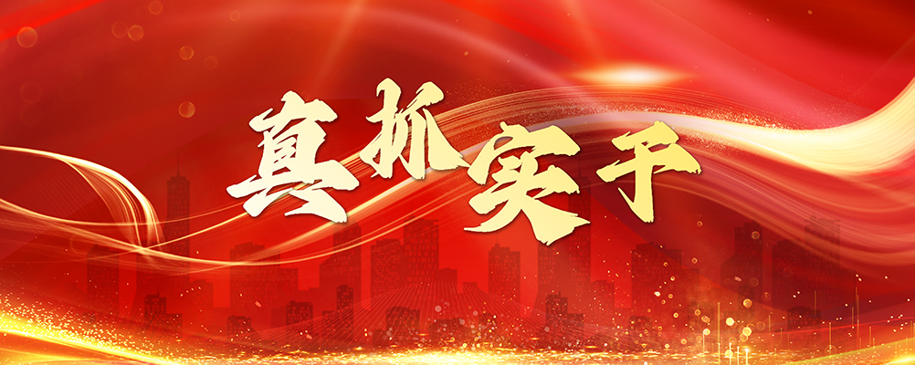 真抓实干