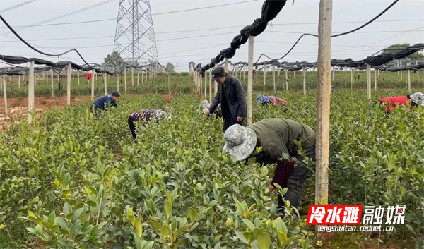 微信图片_20230224091033.jpg