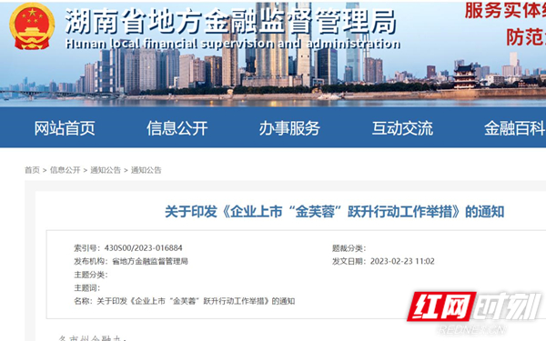 金芙蓉_副本.jpg 金芙蓉_副本.jpg