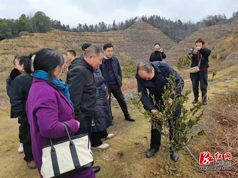 微信图片_20230228104626.jpg