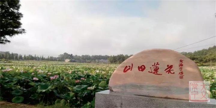 3湘莲基地.jpg