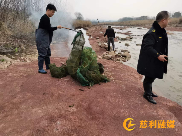 图片2_副本1.png