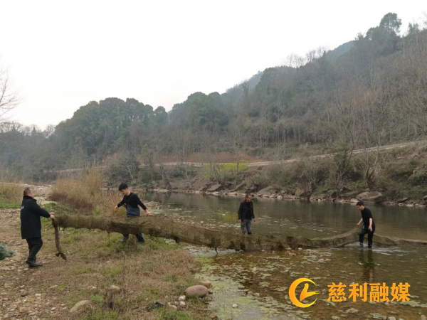 图片1_副本1.png