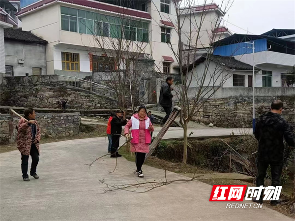 图片33.png