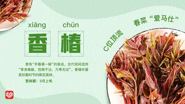 香椿_副本.jpg