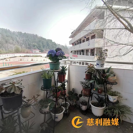 红植物角.jpg