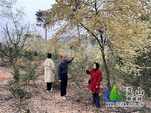 微信图片_20230303163816.jpg