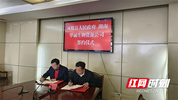 图片28.png