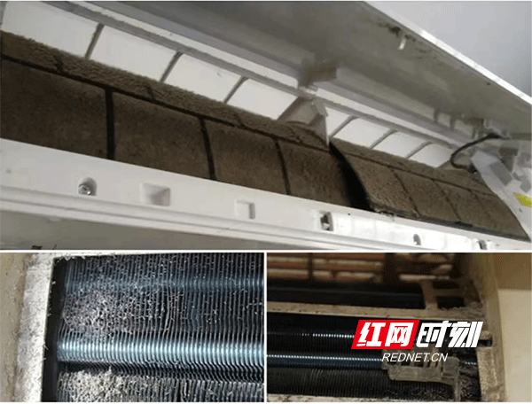 图片7.gif