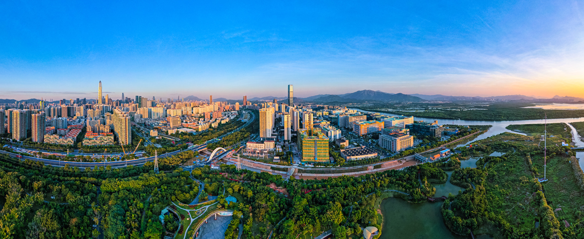 河套深港科技创新合作区全景，深圳河河口布满红树林。来源：受访方提供