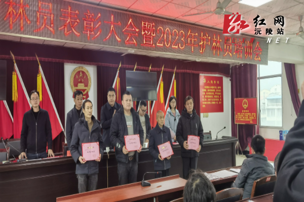 图片12.png