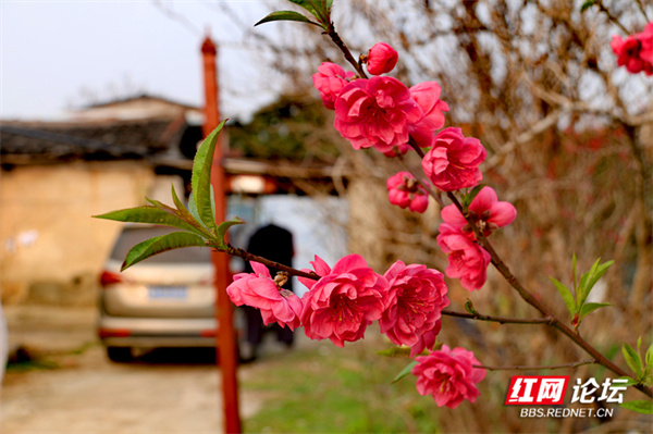 125403tac1c547q72a5yqt.jpg 125403tac1c547q72a5yqt.jpg