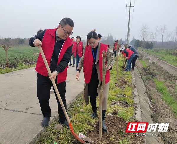 植树现场.jpg