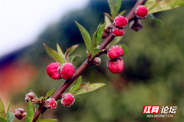 125403r7wuum0i1ya9z97i.jpg 125403r7wuum0i1ya9z97i.jpg