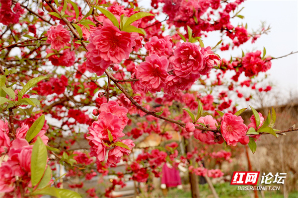 125401d4ew3356n5i38e8y.jpg 125401d4ew3356n5i38e8y.jpg