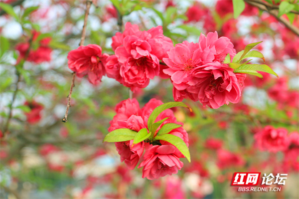 125338sep9zf5ujlpfz359.jpg 125338sep9zf5ujlpfz359.jpg