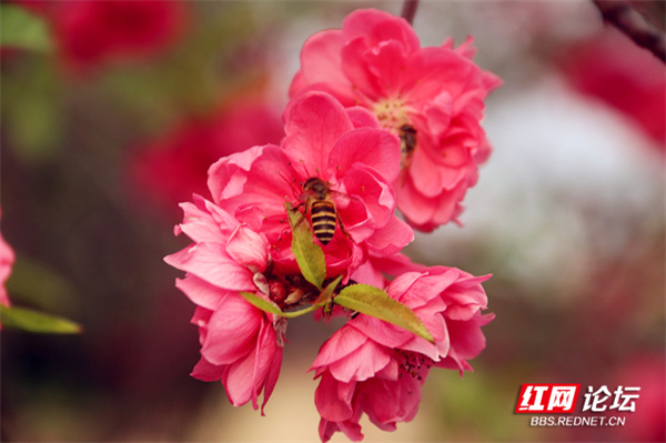 125340skbwc1629j9kwkc1.jpg 125340skbwc1629j9kwkc1.jpg