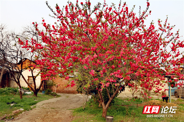 125400g2pai2oiwqww7o73.jpg 125400g2pai2oiwqww7o73.jpg