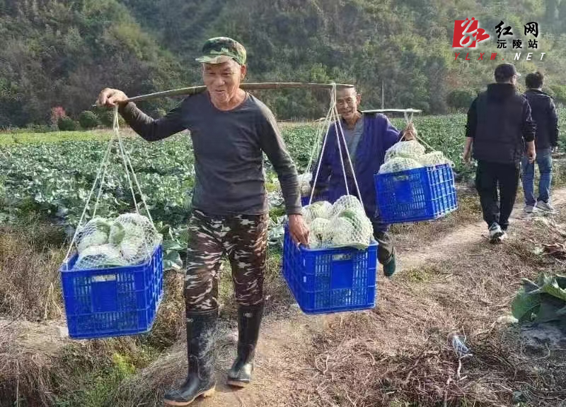 微信图片_20230306162236.jpg