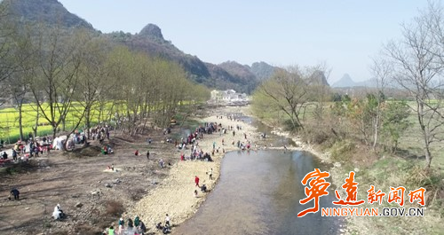 宁远：东江河畔的一场花海音乐会2_副本500.jpg
