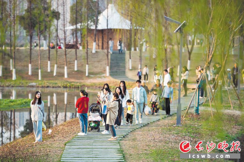 洋湖湿地公园　　市民和家人朋友在一起度过美好的周末时光。　　长沙晚报全媒体记者 黄启晴 摄