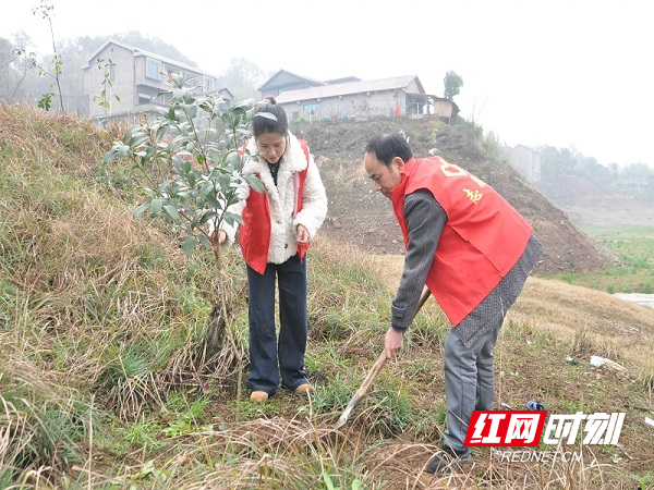 沅陵县水利局：开展植树造林1.jpg