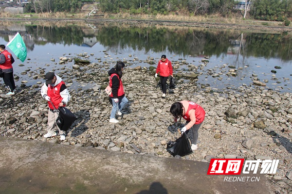 芷江县：志愿者行动 净滩我先行2.jpg