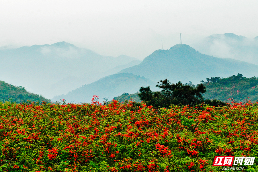 黄岩生态旅游区.png