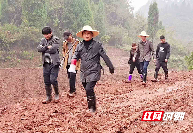 邵胜强（前）奔走在乡村振兴的路上。刘松摄影.jpg