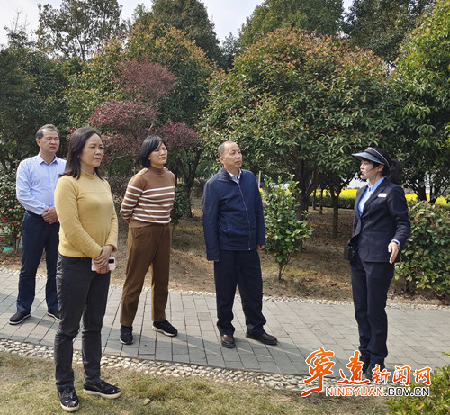 市人大常委会调研组来宁开展《永州摩崖石刻保护规定》立法调研_副本_副本500.jpg