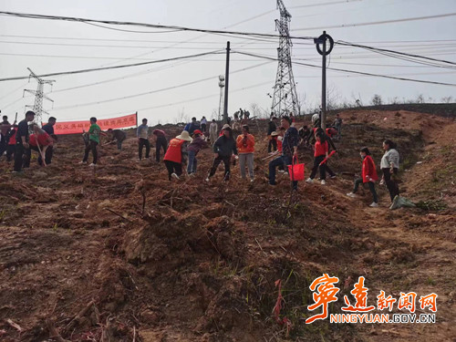 寧遠：學習雷鋒講奉獻 義務植樹復山林_副本500.jpg