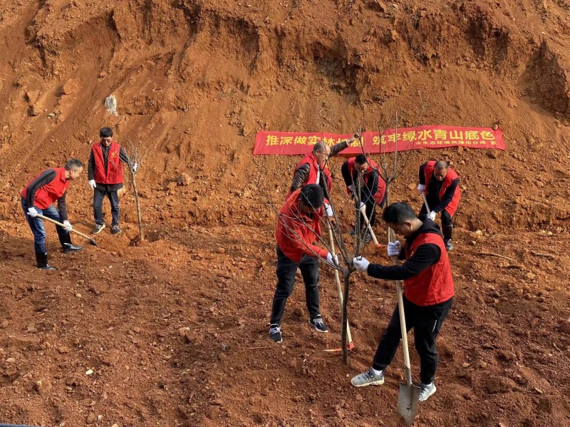 3月10日植树 (3).jpg 3月10日植树 (3).jpg