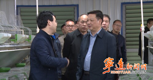 寧遠：楊康調研九疑山兔全產業鏈項目_副本500.jpg