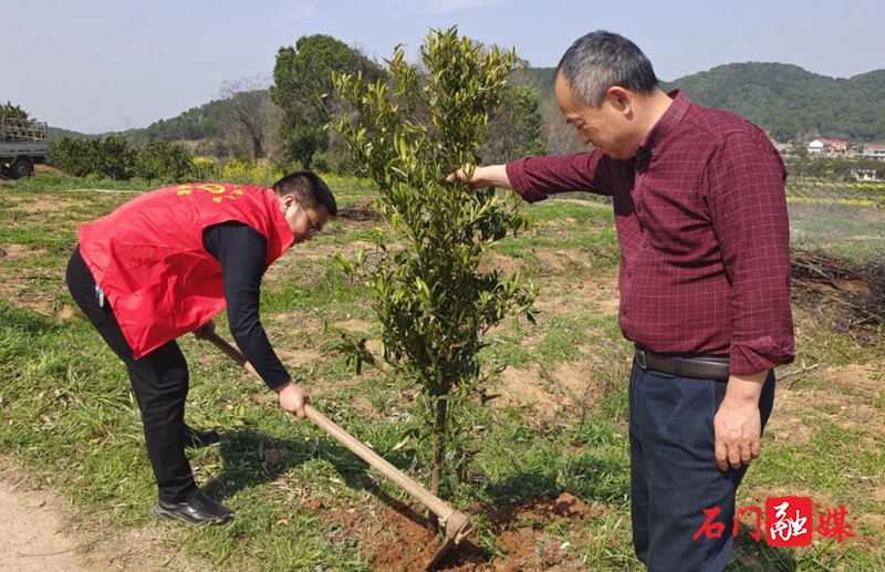 蒙泉镇：开展义务植树志愿服务活动2.jpg