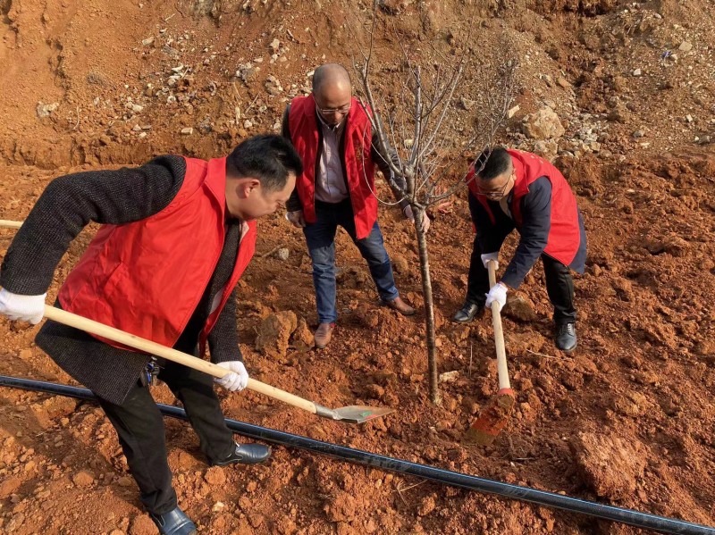 3月10日植树.jpg 3月10日植树.jpg