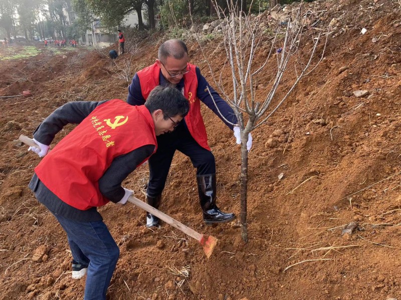 3月10日植树 (2).jpg 3月10日植树 (2).jpg