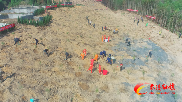 Still0310_00000_副本.jpg Still0310_00000_副本.jpg