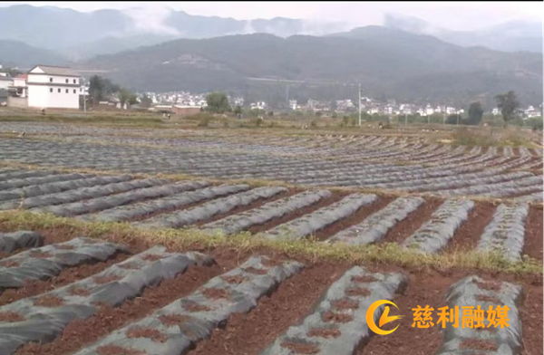 图片1_副本.png