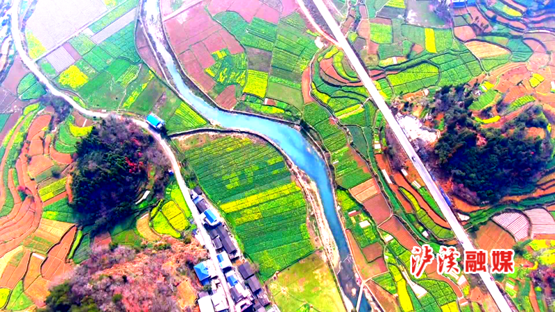 湖南泸溪春天的田野 (4)_副本.png