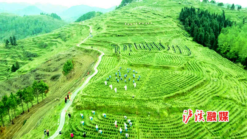 收获金秋（3）_副本.png