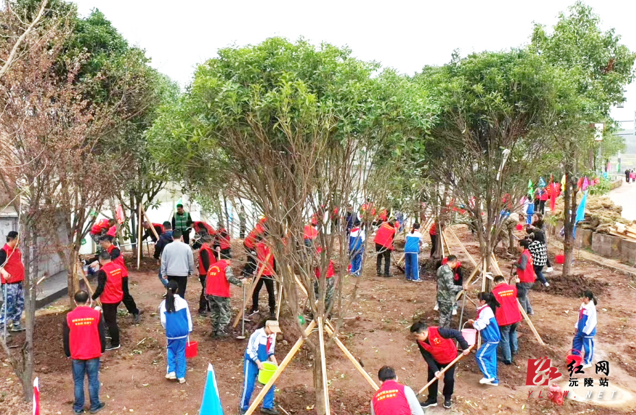 1678672716820.jpg 1678672716820.jpg