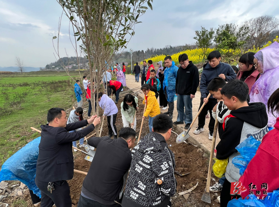 1678672745823.jpg 1678672745823.jpg