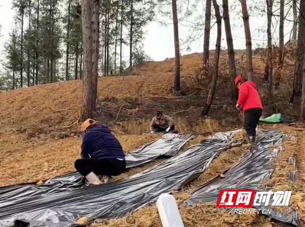 微信图片_20230313160844.jpg 微信图片_20230313160844.jpg