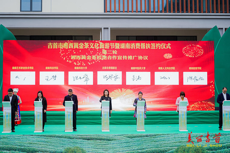 春茶贵如金 茶香“漫”吉首 2023中华茶祖节湘西黄金茶文化旅游节开幕10.jpg
