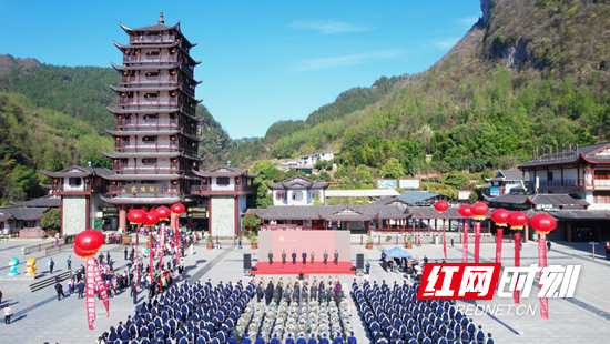 图片1.png 图片1.png