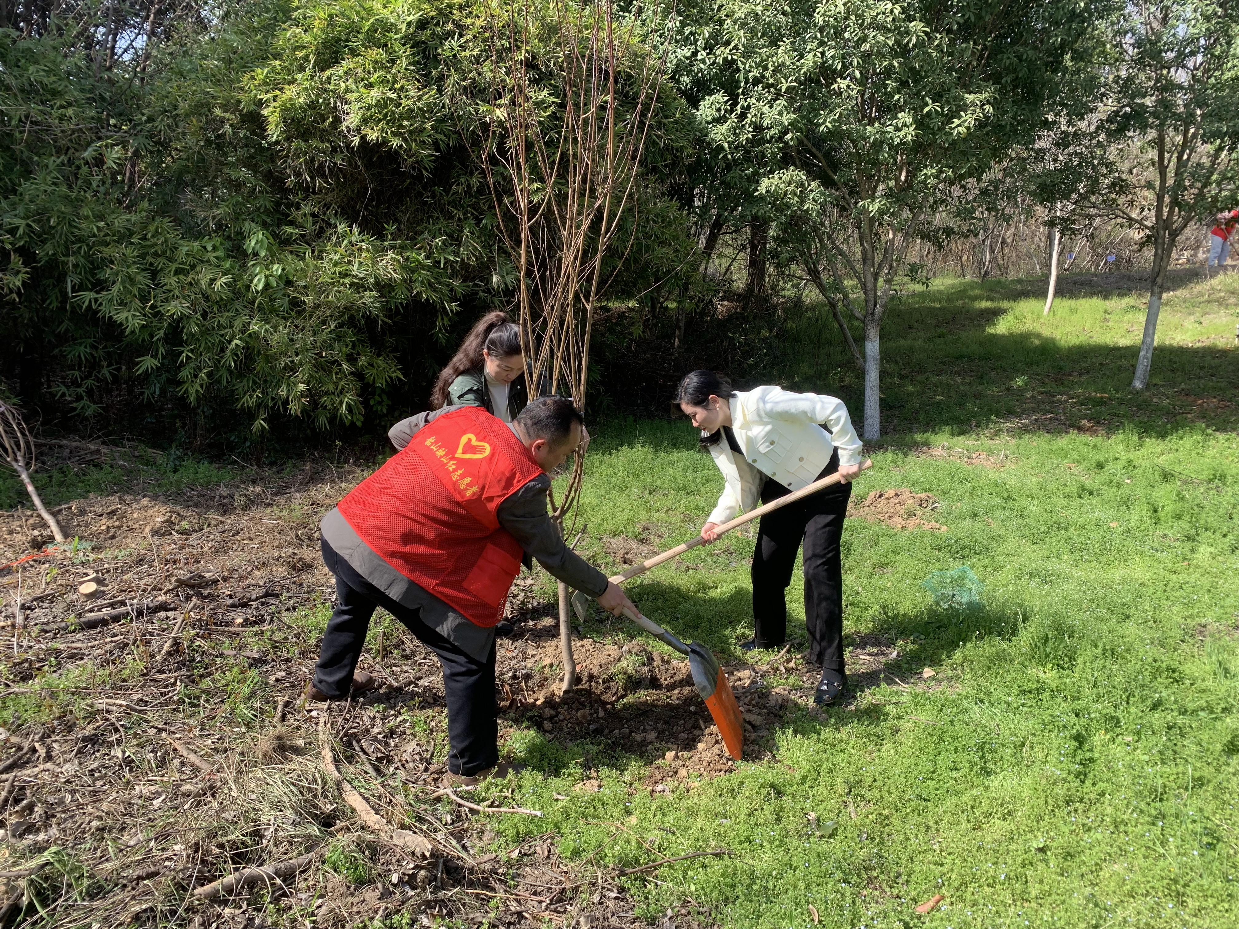 QQ图片20230313170858.jpg QQ图片20230313170858.jpg