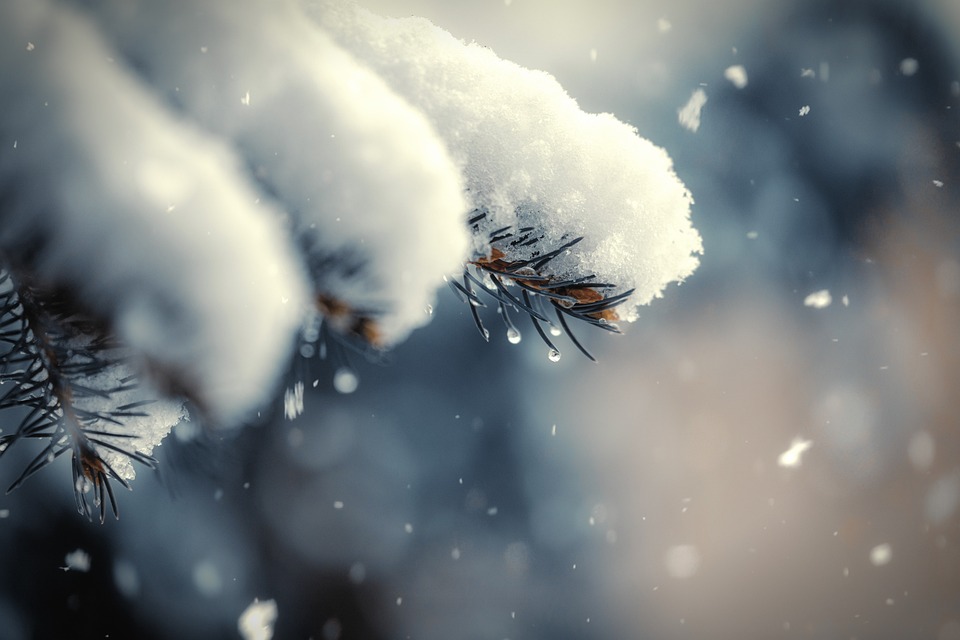 winter-6878665_960_720.jpg