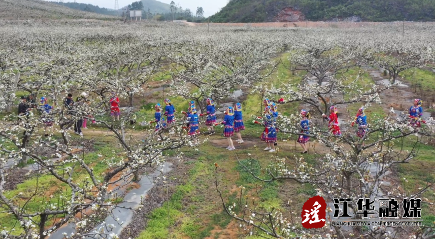 微信截图_20230315093052.png